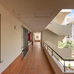 Letmalaga Campos De Guadalmina Apartment