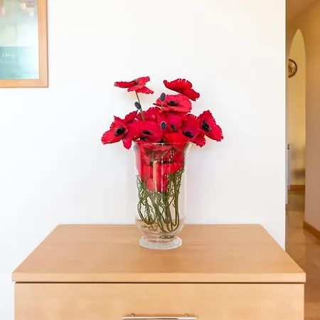 Letmalaga Campos De Guadalmina